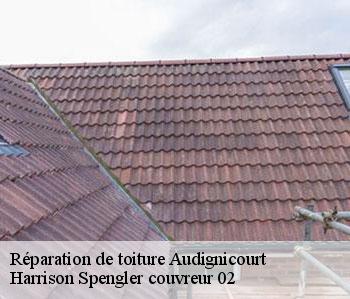 Réparation de toiture  audignicourt-02300 Harrison Spengler couvreur 02