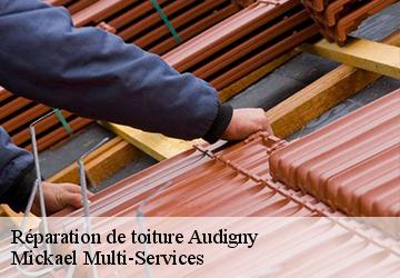 Réparation de toiture audigny-02120 Mickael Multi-Services