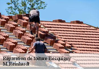 Réparation de toiture  becquigny-02110 M.Reinhardt