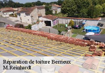 Réparation de toiture berrieux-02820 M.Reinhardt