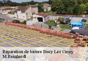 Réparation de toiture  bucy-les-cerny-02870 M.Reinhardt