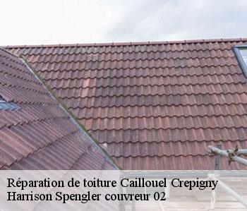 Réparation de toiture  caillouel-crepigny-02300 Harrison Spengler couvreur 02