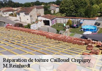 Réparation de toiture  caillouel-crepigny-02300 M.Reinhardt