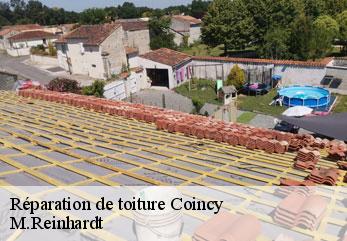 Réparation de toiture  coincy-02210 M.Reinhardt