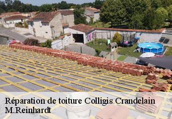 Réparation de toiture colligis-crandelain-02860 M.Reinhardt