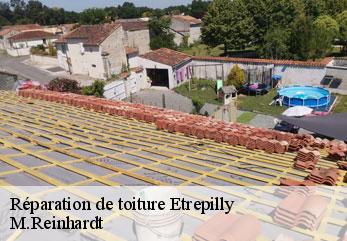Réparation de toiture etrepilly-02400 M.Reinhardt