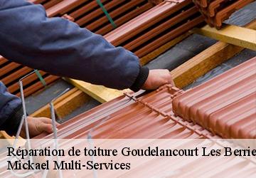 Réparation de toiture goudelancourt-les-berrieux-02820 Mickael Multi-Services