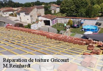 Réparation de toiture  gricourt-02100 M.Reinhardt