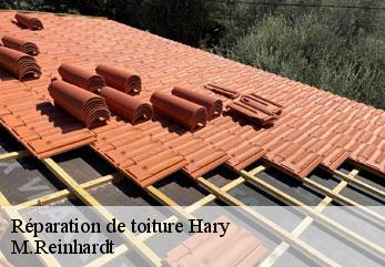 Réparation de toiture  hary-02140 M.Reinhardt