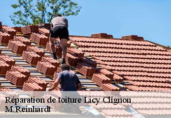 Réparation de toiture licy-clignon-02810 M.Reinhardt