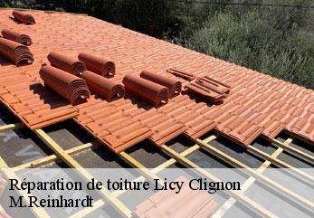 Réparation de toiture  licy-clignon-02810 M.Reinhardt