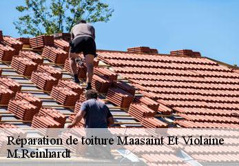 Réparation de toiture maasaint-et-violaine-02220 M.Reinhardt