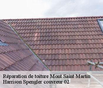 Réparation de toiture  mont-saint-martin-02220 Harrison Spengler couvreur 02