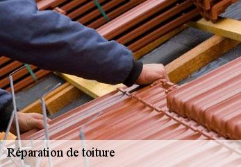 Réparation de toiture  nampcelles-la-cour-02140 M.Reinhardt