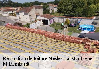 Réparation de toiture  nesles-la-montagne-02400 M.Reinhardt