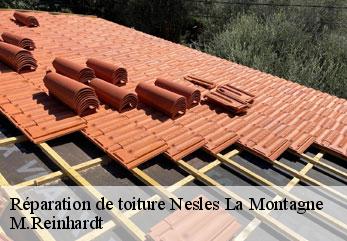 Réparation de toiture  nesles-la-montagne-02400 M.Reinhardt
