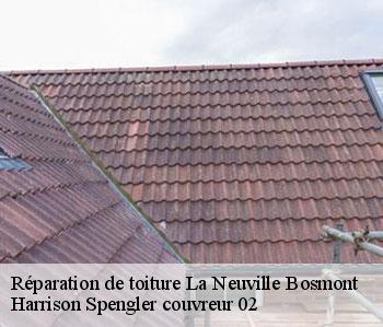 Réparation de toiture  la-neuville-bosmont-02250 Harrison Spengler couvreur 02