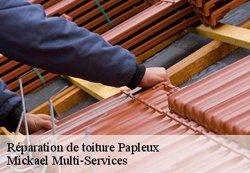 Réparation de toiture papleux-02260 Mickael Multi-Services
