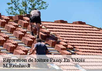 Réparation de toiture  passy-en-valois-02470 M.Reinhardt