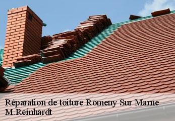 Réparation de toiture  romeny-sur-marne-02310 M.Reinhardt