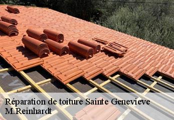 Réparation de toiture  sainte-genevieve-02340 M.Reinhardt