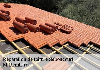 Réparation de toiture seboncourt-02110 M.Reinhardt