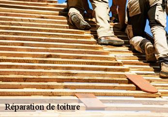 Réparation de toiture  silly-la-poterie-02460 M.Reinhardt