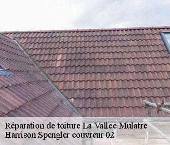 Réparation de toiture  la-vallee-mulatre-02110 Harrison Spengler couvreur 02