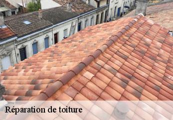 Réparation de toiture  villiers-saint-denis-02310 M.Reinhardt