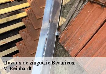 Travaux de zinguerie  beaurieux-02160 M.Reinhardt