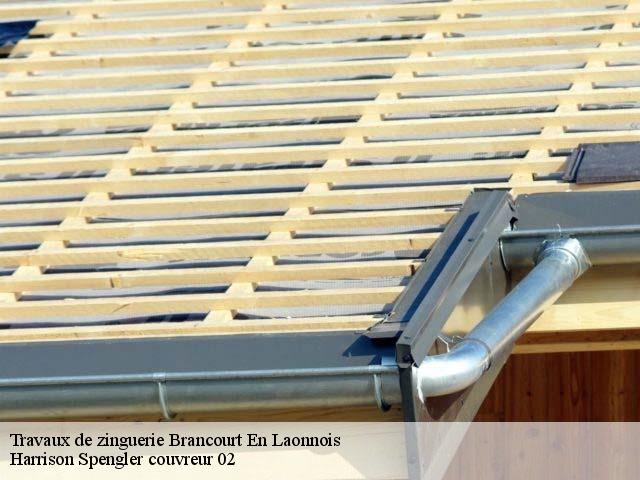 Travaux de zinguerie  brancourt-en-laonnois-02320 Harrison Spengler couvreur 02