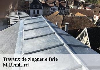 Travaux de zinguerie  brie-02870 M.Reinhardt