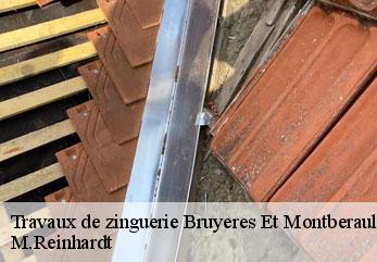 Travaux de zinguerie bruyeres-et-montberault-02860 M.Reinhardt