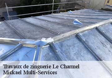 Travaux de zinguerie le-charmel-02850 Mickael Multi-Services
