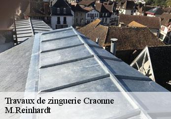 Travaux de zinguerie  craonne-02160 M.Reinhardt