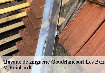 Travaux de zinguerie  goudelancourt-les-berrieux-02820 M.Reinhardt