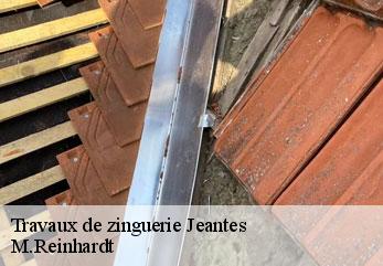 Travaux de zinguerie  jeantes-02140 M.Reinhardt
