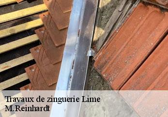 Travaux de zinguerie  lime-02220 M.Reinhardt