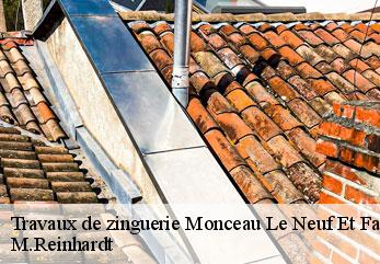 Travaux de zinguerie  monceau-le-neuf-et-faucouzy-02270 M.Reinhardt