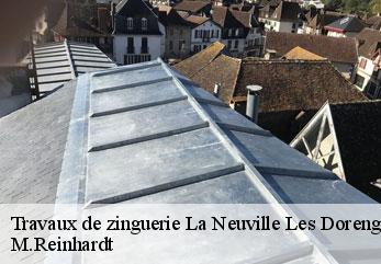 Travaux de zinguerie  la-neuville-les-dorengt-02450 M.Reinhardt