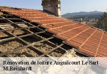 Rénovation de toiture  anguilcourt-le-sart-02800 M.Reinhardt