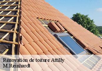 Rénovation de toiture  attilly-02490 M.Reinhardt