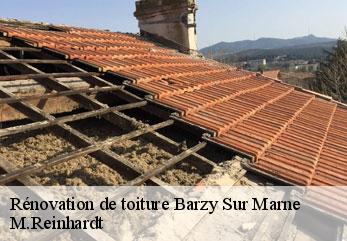 Rénovation de toiture  barzy-sur-marne-02850 M.Reinhardt