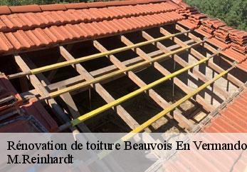 Rénovation de toiture beauvois-en-vermandois-02590 M.Reinhardt