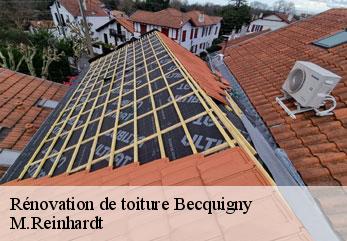 Rénovation de toiture  becquigny-02110 M.Reinhardt