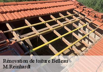 Rénovation de toiture  belleau-02400 M.Reinhardt