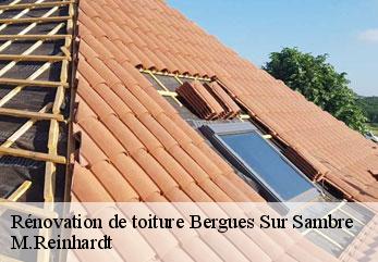 Rénovation de toiture  bergues-sur-sambre-02450 M.Reinhardt