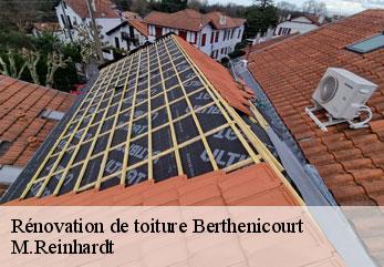 Rénovation de toiture  berthenicourt-02240 M.Reinhardt