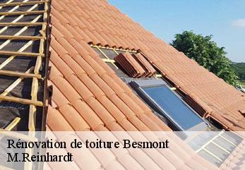 Rénovation de toiture  besmont-02500 M.Reinhardt