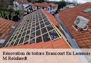 Rénovation de toiture  brancourt-en-laonnois-02320 M.Reinhardt